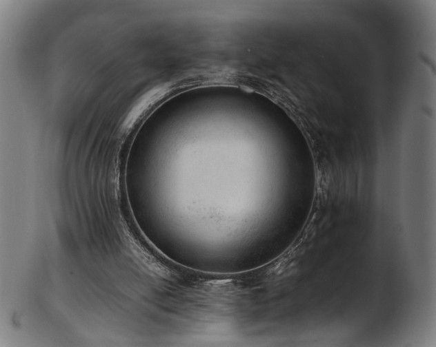 X0000103430054200809121338