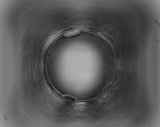 X0000103430055200809121338