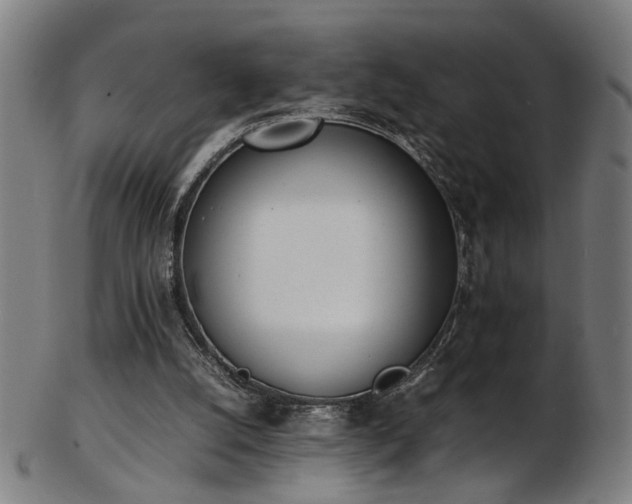 X0000103430056200809121338