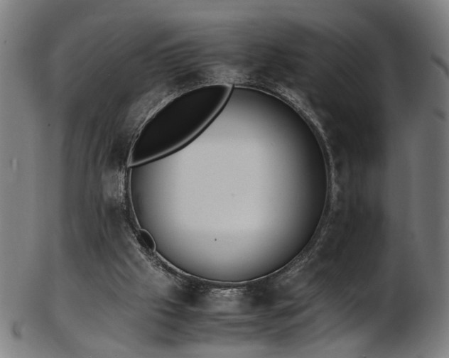 X0000103430057200809121338