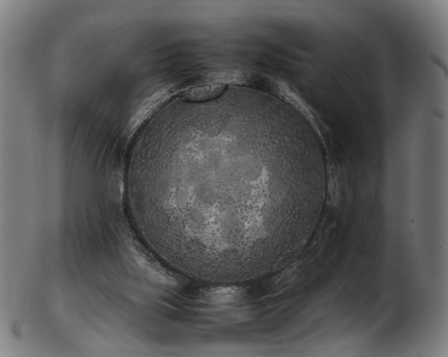 X0000103430059200809121338
