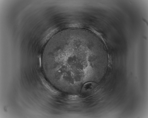 X0000103430061200809121338