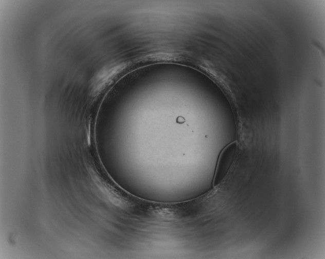 X0000103430062200809121339