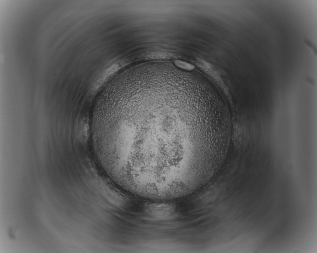 X0000103430063200809121339