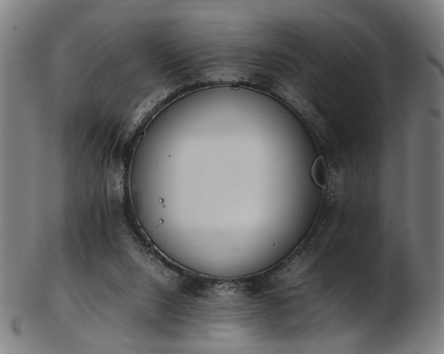 X0000103430064200809121339