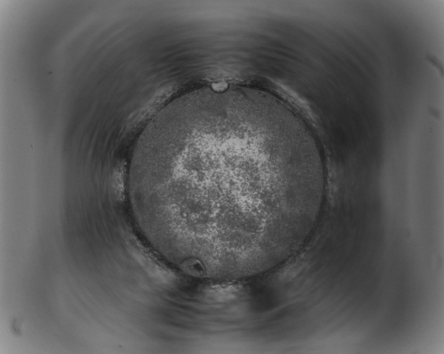 X0000103430065200809121339