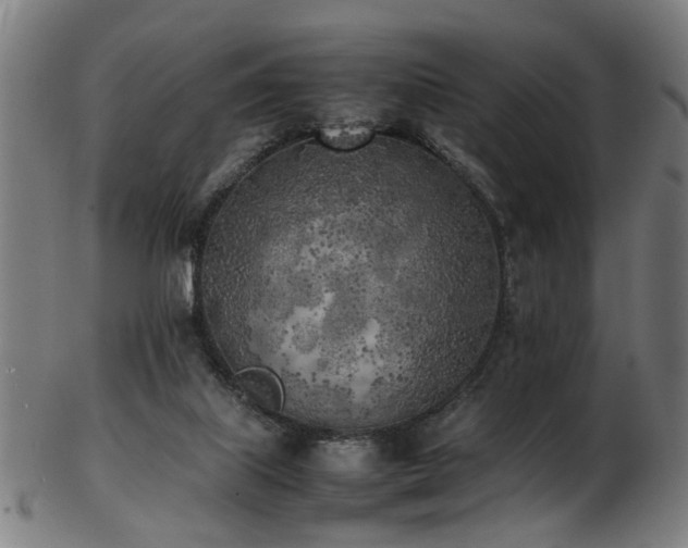 X0000103430067200809121339