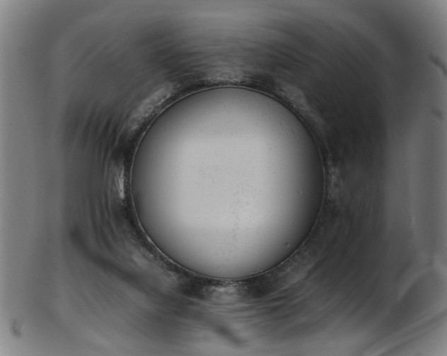 X0000103430068200809121339