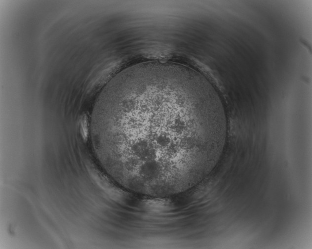 X0000103430069200809121339