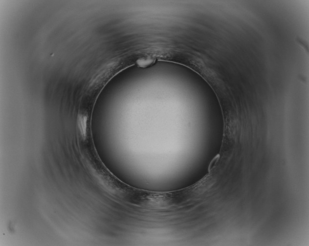 X0000103430070200809121339