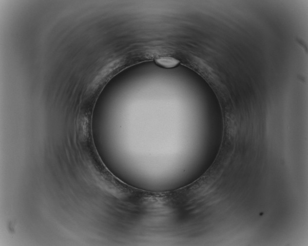 X0000103430071200809121339