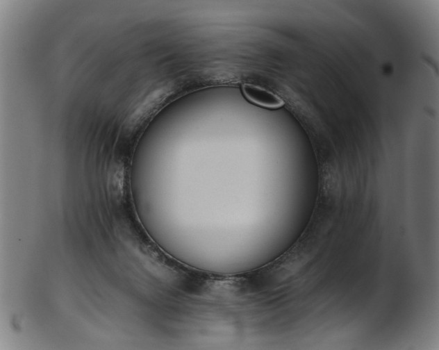 X0000103430072200809121339