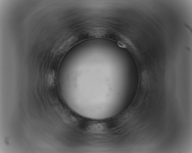 X0000103430073200809121339