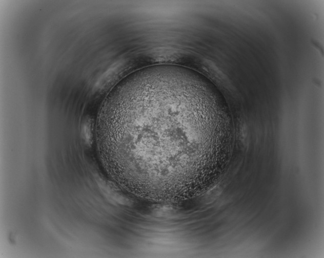 X0000103430074200809121339