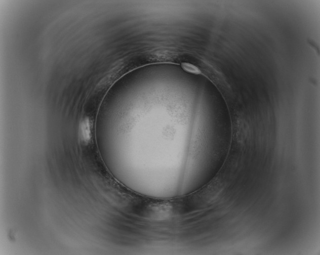 X0000103430075200809121339