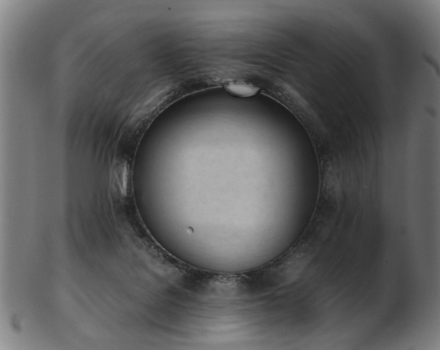 X0000103430076200809121339