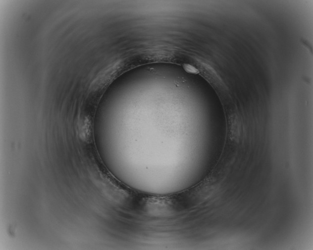 X0000103430077200809121339