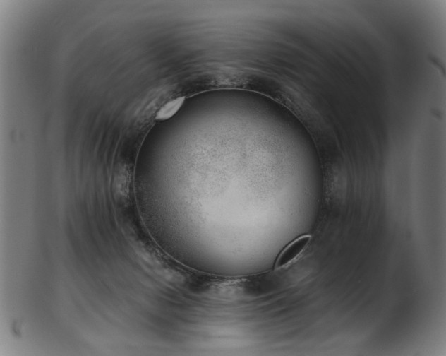 X0000103430078200809121339