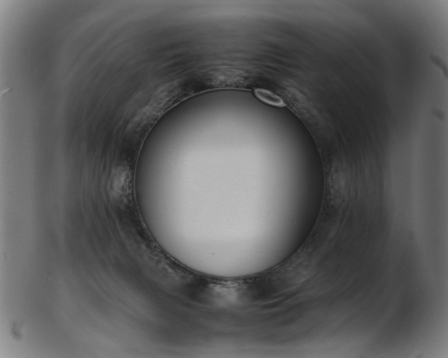 X0000103430079200809121339
