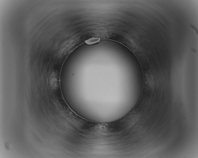 X0000103430080200809121339