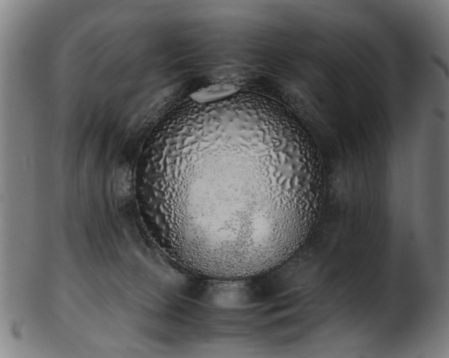 X0000103430081200809121339