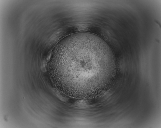 X0000103430082200809121339