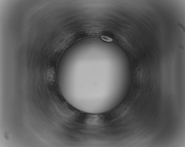 X0000103430083200809121339