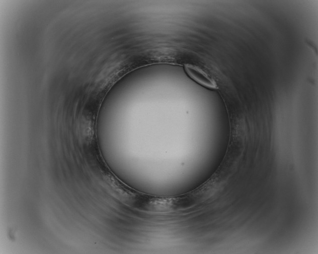 X0000103430084200809121339