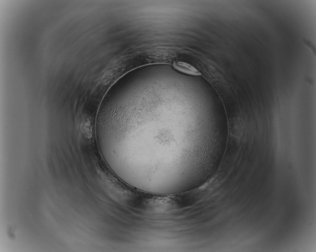X0000103430086200809121339