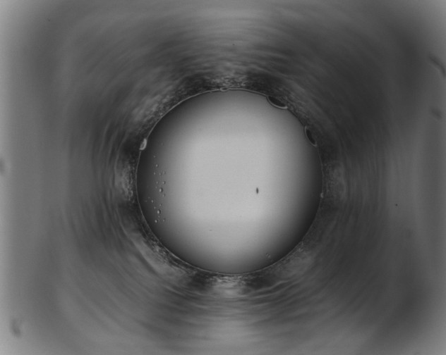 X0000103430088200809121339