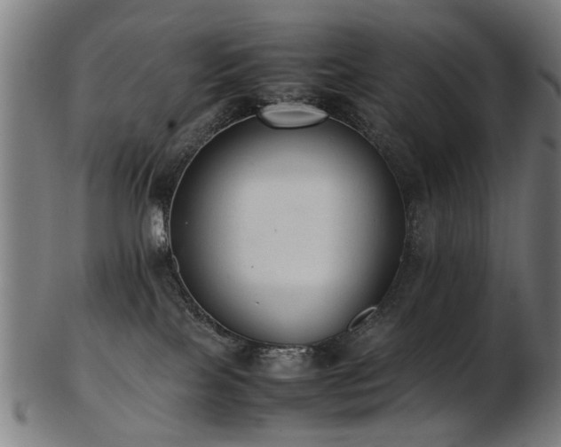 X0000103430089200809121339