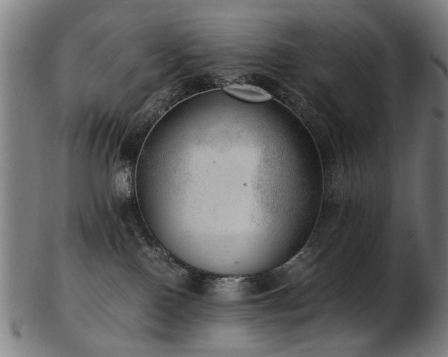 X0000103430090200809121339