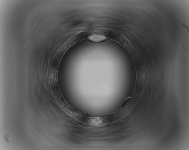 X0000103430091200809121339