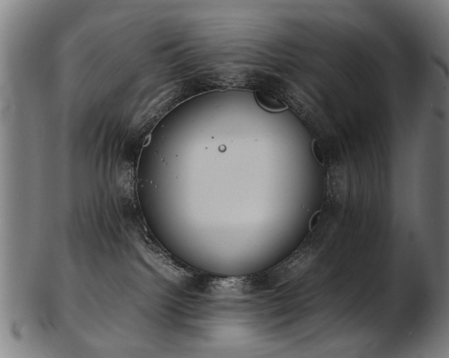 X0000103430092200809121339