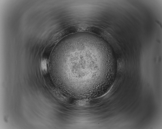 X0000103430094200809121339