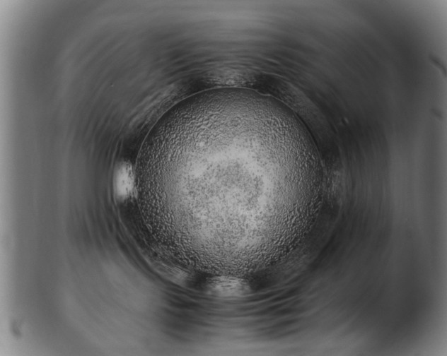 X0000103430095200809121339