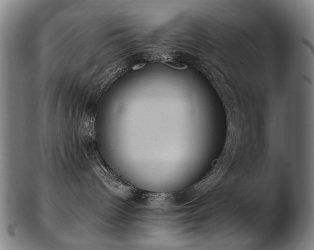 X0000103430096200809121339