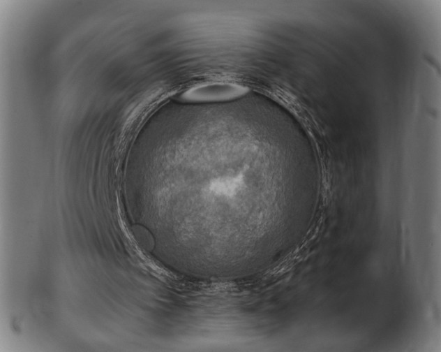 X0000103430097200809121338