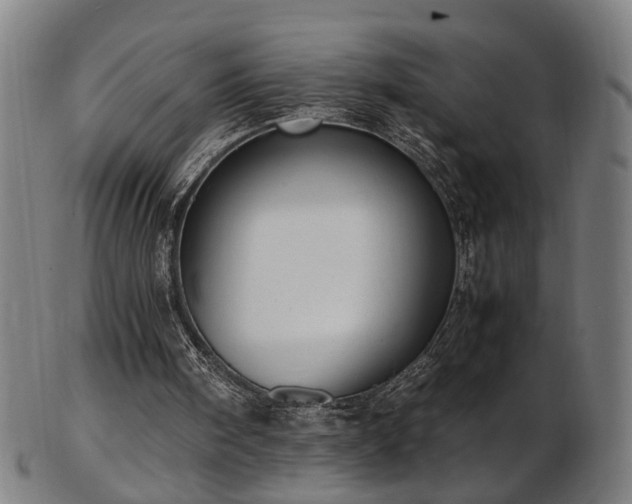 X0000103430098200809121338