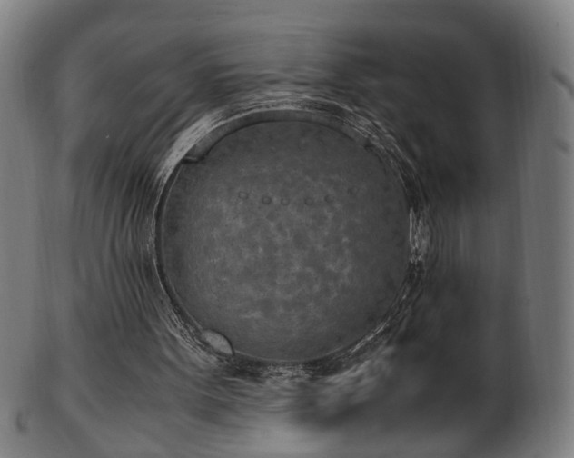 X0000103430099200809121338
