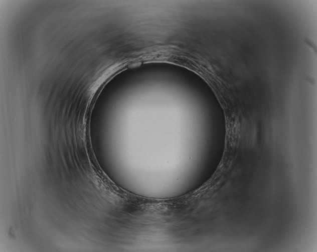 X0000103430100200809121338