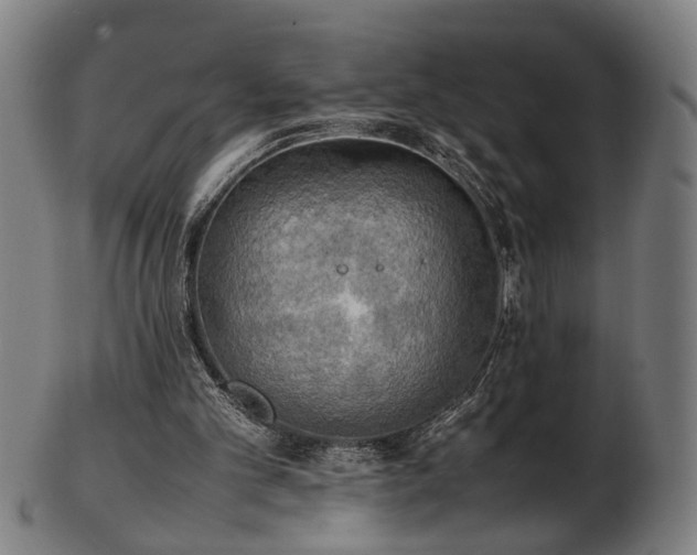 X0000103430101200809121338