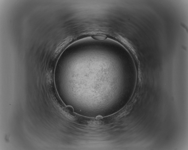 X0000103430105200809121338