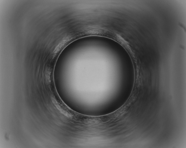 X0000103430106200809121338