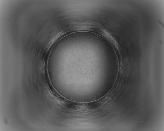 X0000103430107200809121338