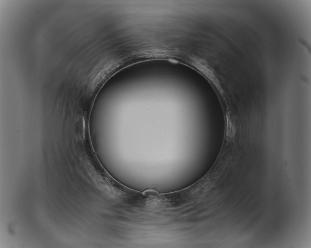 X0000103430109200809121338