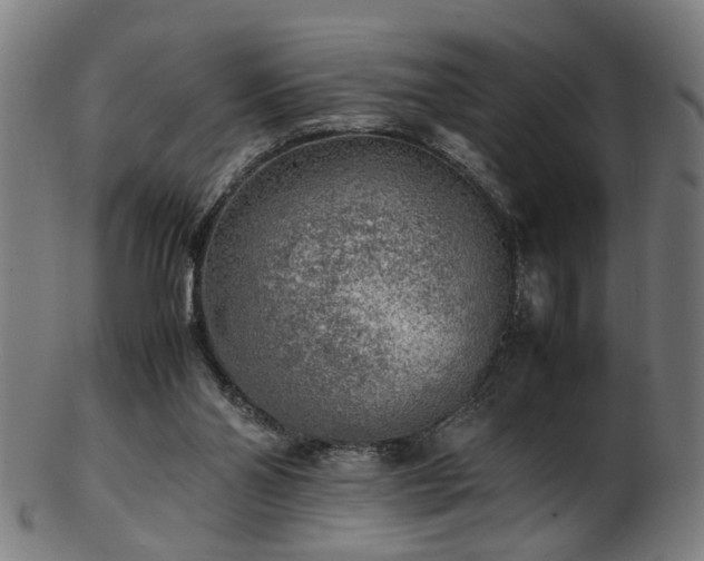 X0000103430110200809121338