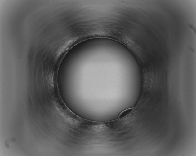 X0000103430112200809121338