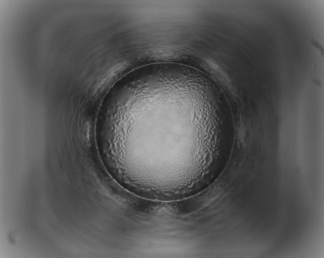 X0000103430115200809121338