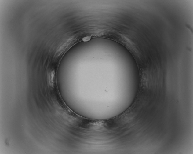 X0000103430118200809121338